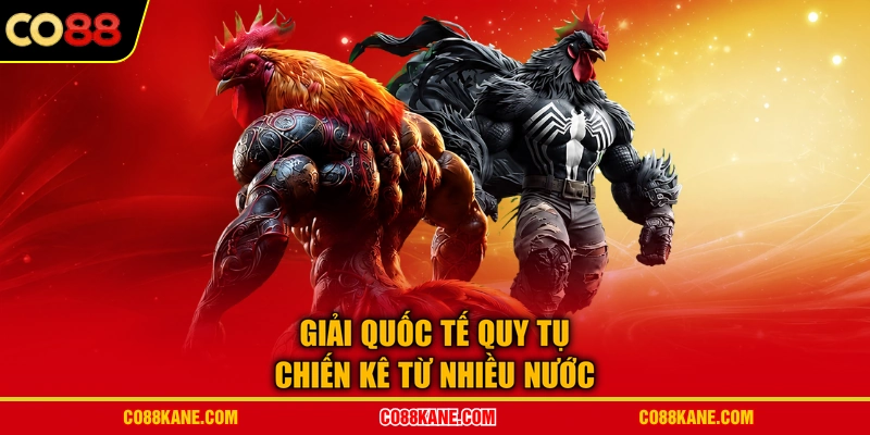 Giải quốc tế quy tụ chiến kê từ nhiều nước