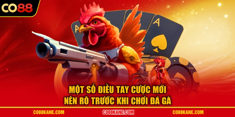 Một số điều tay cược mới nên rõ trước khi chơi đá gà